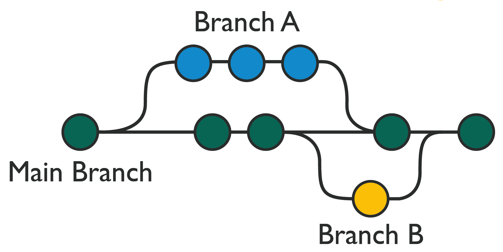 branches